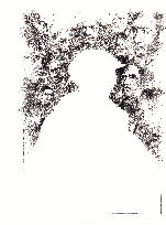 Faust Illustrationen